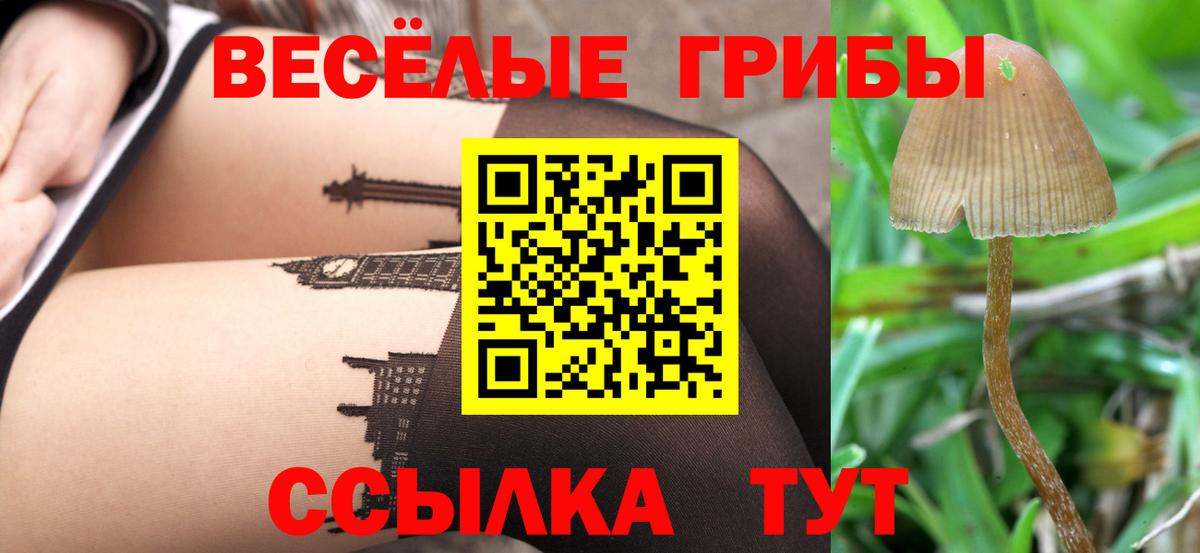 Галлюциногенные грибы Cubensis Рассказово