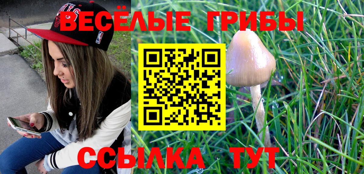 Рассказово  Псилоцибиновые грибы прущие грибы  Вход с VPN 